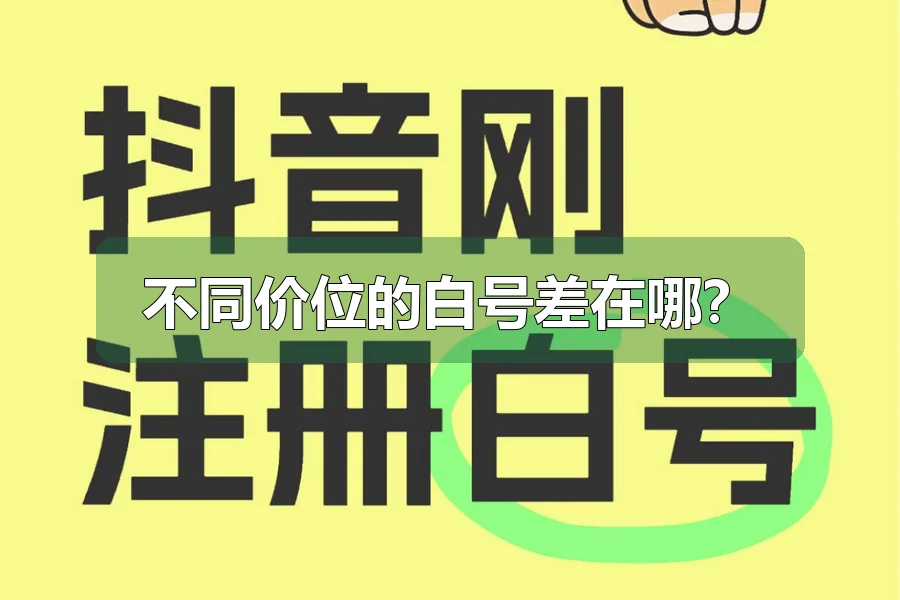 不同价位的白号差在哪？