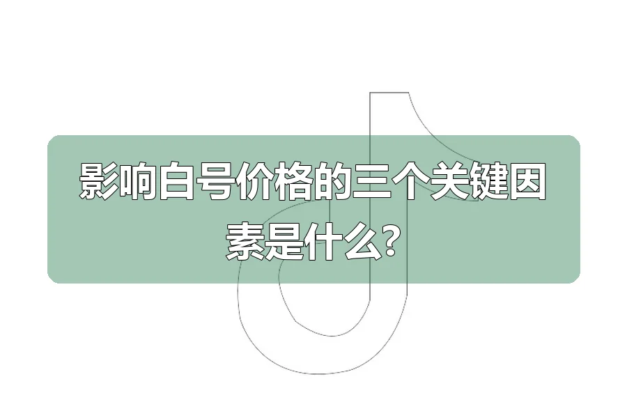 影响白号价格的三个关键因素是什么?